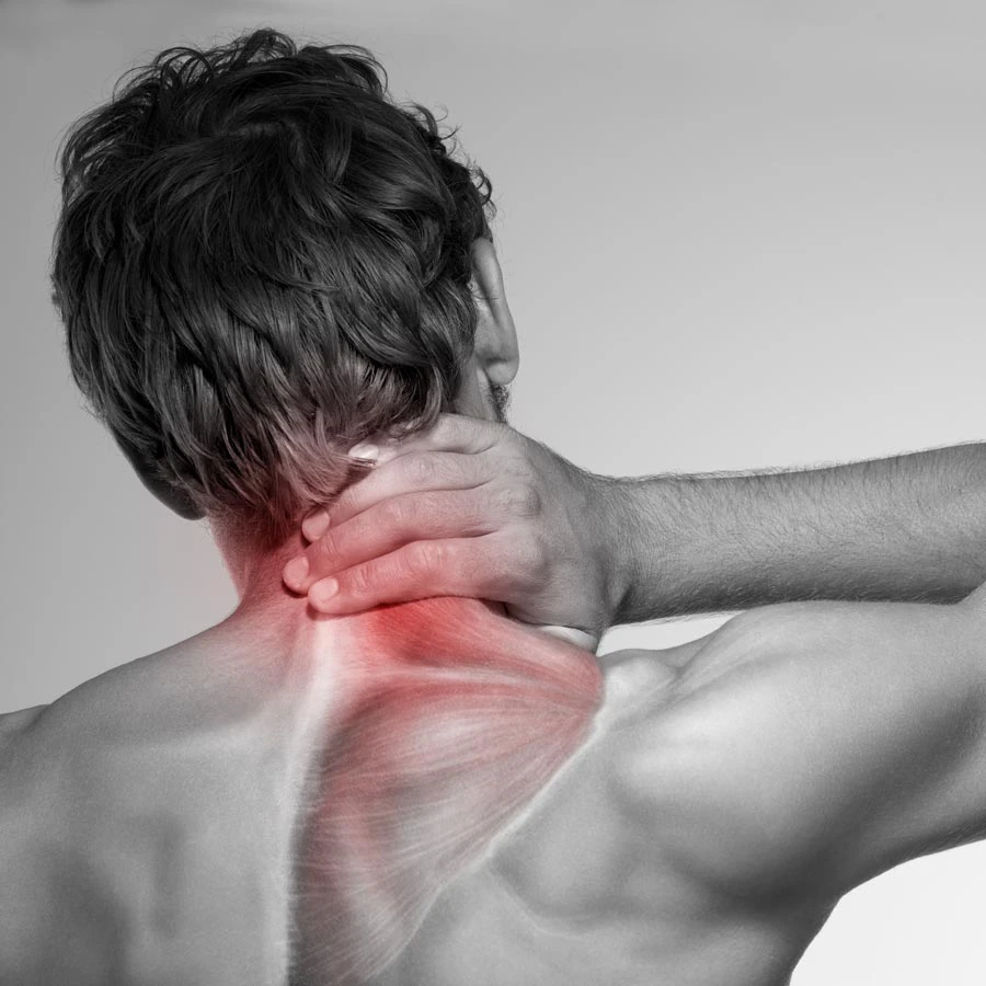 Neck Pain St. Petersburg Florida - Hood Chiropractic