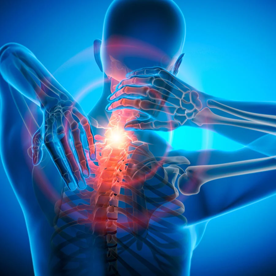 Whiplash St. Petersburg Florida - Hood Chiropractic