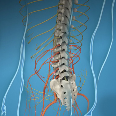 chiropractor for sciatica