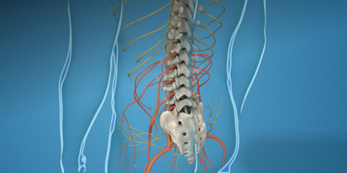Can-a-Chiropractor-Help-with-Sciatica chiropractor for sciatica